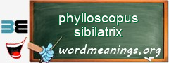 WordMeaning blackboard for phylloscopus sibilatrix